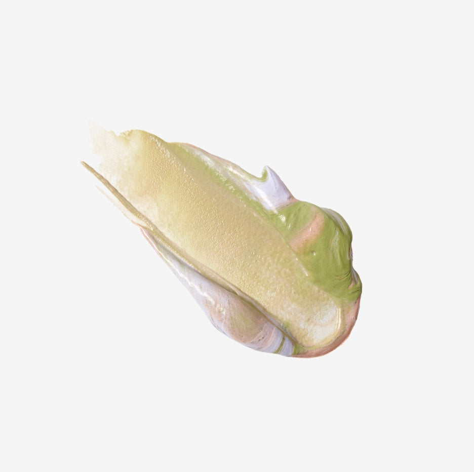 🌿 Why Primer Matters: Unlocking the Magic of One Step Correct