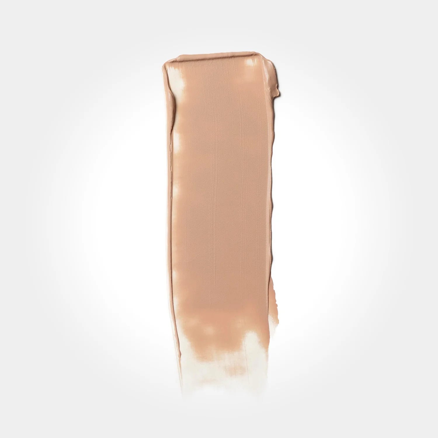Champagne Veil Bundle